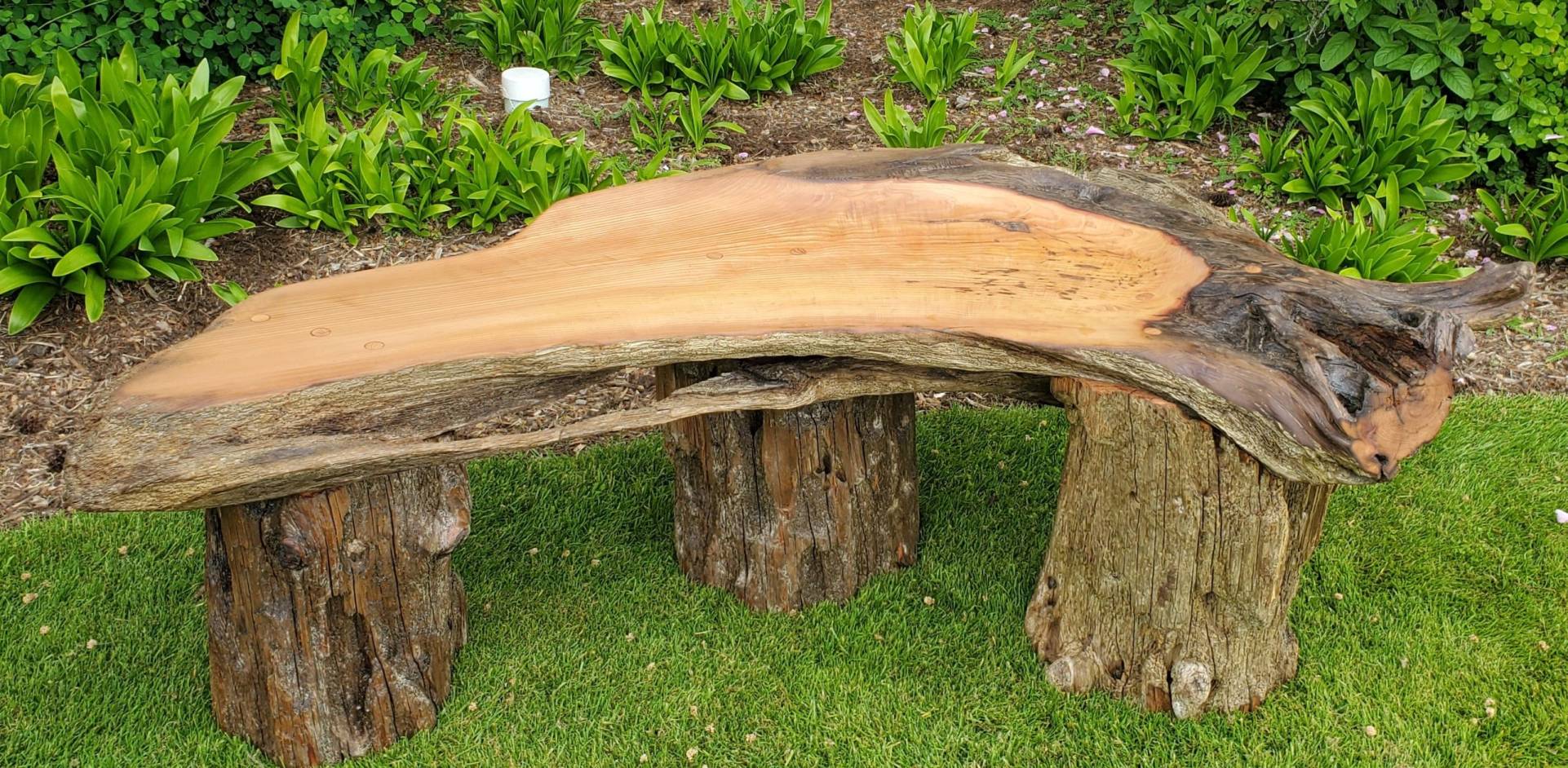 Driftwood bench